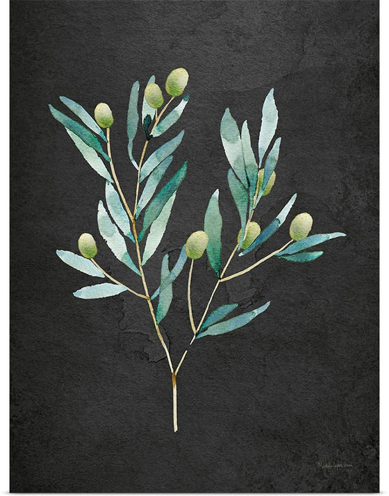 “Gentle Olive Branch on Black“, Mercedes Lopez Charro