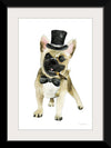 “Dapper Dog I“, Mercedes Lopez Charro