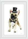 “Dapper Dog I“, Mercedes Lopez Charro