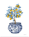 “Lemon Tree in Chinoiserie I“, Yvette St. Amant