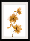 “Golden Blooms II“, Yvette St. Amant
