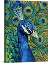 “Peacock Profile“, Yvette St. Amant