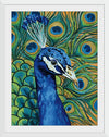 “Peacock Profile“, Yvette St. Amant