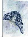 “Swimming Sea Turtle“, Yvette St. Amant