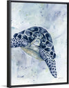 “Swimming Sea Turtle“, Yvette St. Amant