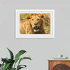 "Lion", Max Blakesberg Studios