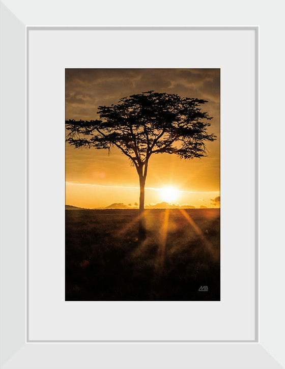 "African Sunrise", Max Blakesberg Studios