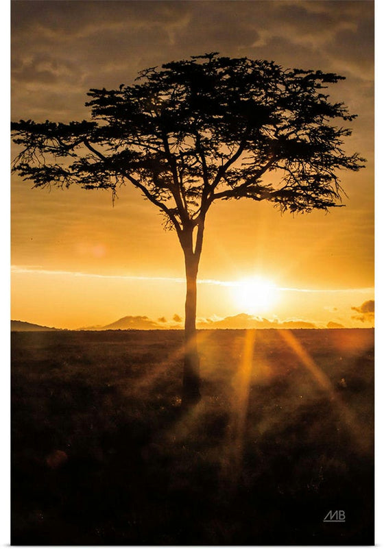 "African Sunrise", Max Blakesberg Studios