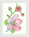 "Cherry Blossom", Anthony Van Lam