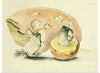 "Illustrations of British Mycology Plate 22 (1847-1855)", Anna Maria Hussey