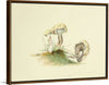 "Illustrations of British Mycology Plate 25 (1847-1855)", Anna Maria Hussey