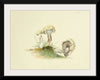 "Illustrations of British Mycology Plate 25 (1847-1855)", Anna Maria Hussey