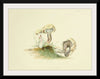 "Illustrations of British Mycology Plate 25 (1847-1855)", Anna Maria Hussey