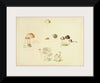 "Illustrations of British Mycology Plate 39 (1847-1855)", Anna Maria Hussey