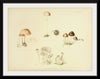 "Illustrations of British Mycology Plate 39 (1847-1855)", Anna Maria Hussey