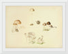 "Illustrations of British Mycology Plate 39 (1847-1855)", Anna Maria Hussey