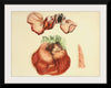 "Illustrations of British Mycology Plate 65 (1847-1855)", Anna Maria Hussey
