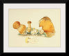 "Illustrations of British Mycology Plate 71 (1847-1855)", Anna Maria Hussey