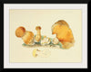 "Illustrations of British Mycology Plate 71 (1847-1855)", Anna Maria Hussey