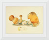 "Illustrations of British Mycology Plate 71 (1847-1855)", Anna Maria Hussey