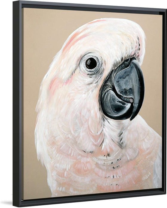 "Sand Cockatoo", Heylie Morris