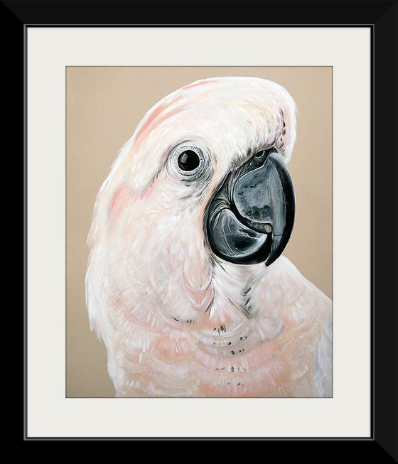 "Sand Cockatoo", Heylie Morris