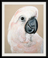 "Sand Cockatoo", Heylie Morris