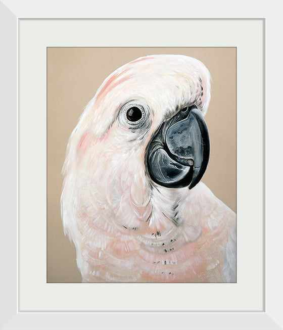 "Sand Cockatoo", Heylie Morris