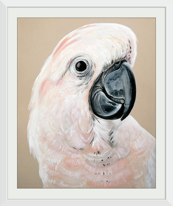 "Sand Cockatoo", Heylie Morris