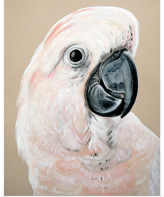 "Sand Cockatoo", Heylie Morris